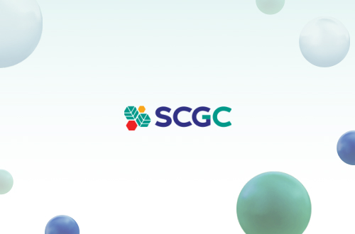 แผ่นพลาสติก PE